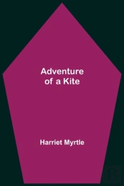 Adventure Of A Kite
