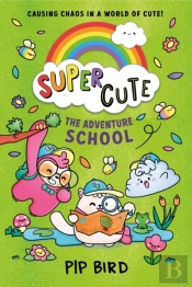 Adventure School