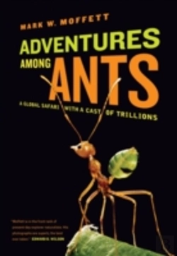 Bertrand.pt - Adventures Among Ants
