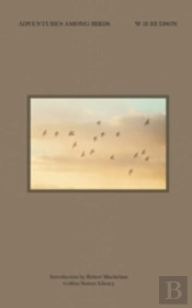 Adventures Among Birds
