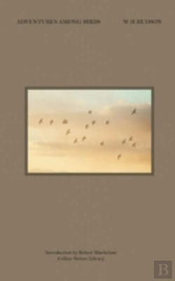 Bertrand.pt - Adventures Among Birds