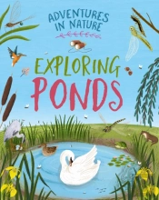 Adventures In Nature: Exploring Ponds