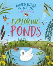 Adventures In Nature: Exploring Ponds