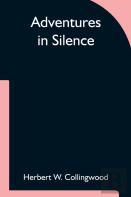 Adventures In Silence