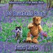 Adventures Of A Far Away Bear