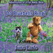 Adventures Of A Far Away Bear