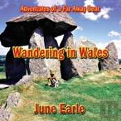 Adventures Of A Far Away Bear