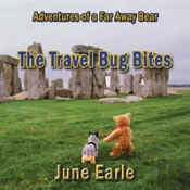 Adventures Of A Far Away Bear