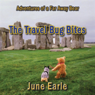 Adventures Of A Far Away Bear