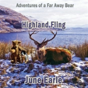 Adventures Of A Far Away Bear