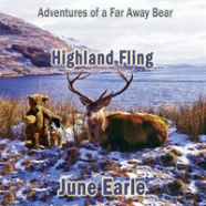 Adventures Of A Far Away Bear