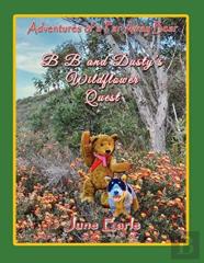 Adventures Of A Far Away Bear