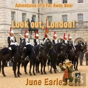 Adventures Of A Far Away Bear