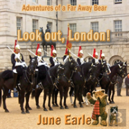 Adventures Of A Far Away Bear