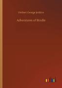 Adventures Of Bindle