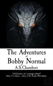 Adventures Of Bobby Normal