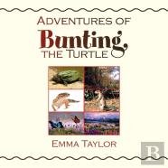 Adventures Of Bunting, The Turtle