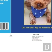 Adventures Of Little Bear 1: Book 1