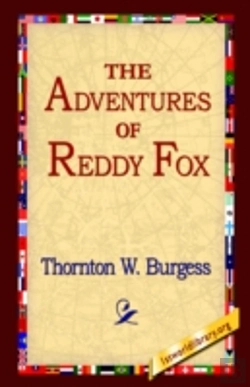 Bertrand.pt - Adventures Of Reddy Fox