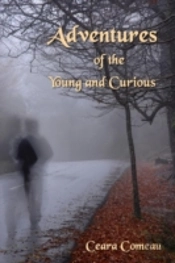 Adventures Of The Young And Curious