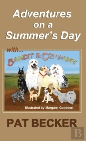 Adventures On A Summer'S Day