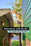 Adventures With Apollo