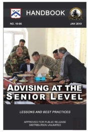 Advising At The Senior Level - Handbook (Lessons And Best Practices)