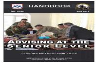 Advising At The Senior Level - Handbook (Lessons And Best Practices)