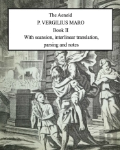Aeneid Book 2