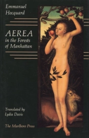 Aerea In The Forrests Of Manhattan