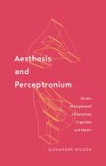 Aesthesis And Perceptronium