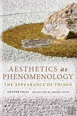 Bertrand.pt - Aesthetics As Phenomenology