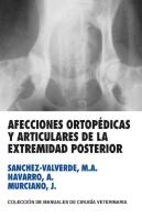 Afecciones Ortopedicas Y Articulares De La Extremidad Posterior