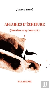 Affaires D'Ecriture T.Ii - (Ancrire Ce Qu'On Voit)