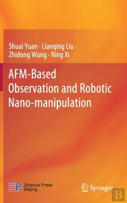 Bertrand.pt - Afm-Based Observation And Robotic Nano-Manipulation