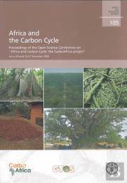Africa And The Carbon Cycle