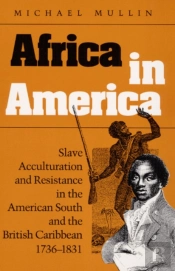 Africa In America