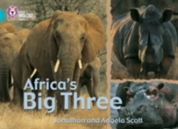 Bertrand.pt - Africaâ€™S Big Three