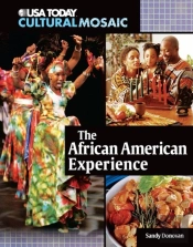 African American Experience