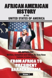 African American History In The United States Of America