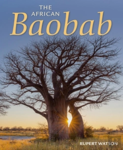 Bertrand.pt - African Baobab