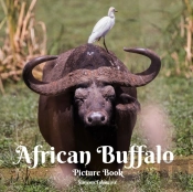 African Buffalo Picture Book