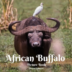 Bertrand.pt - African Buffalo Picture Book
