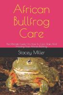 African Bullfrog Care