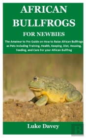 African Bullfrogs For Newbies