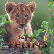 African Cats, Disney Monde Enchante