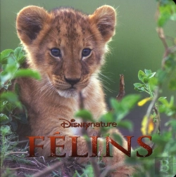 Bertrand.pt - African Cats, Disney Monde Enchante