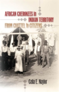 African Cherokees In Indian Territory