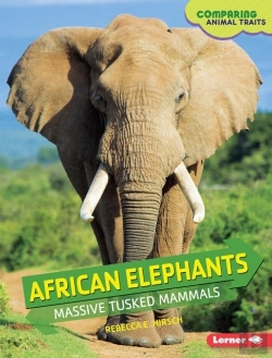Bertrand.pt - African Elephants