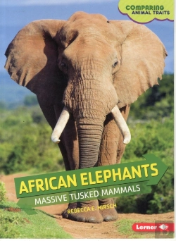 Bertrand.pt - African Elephants